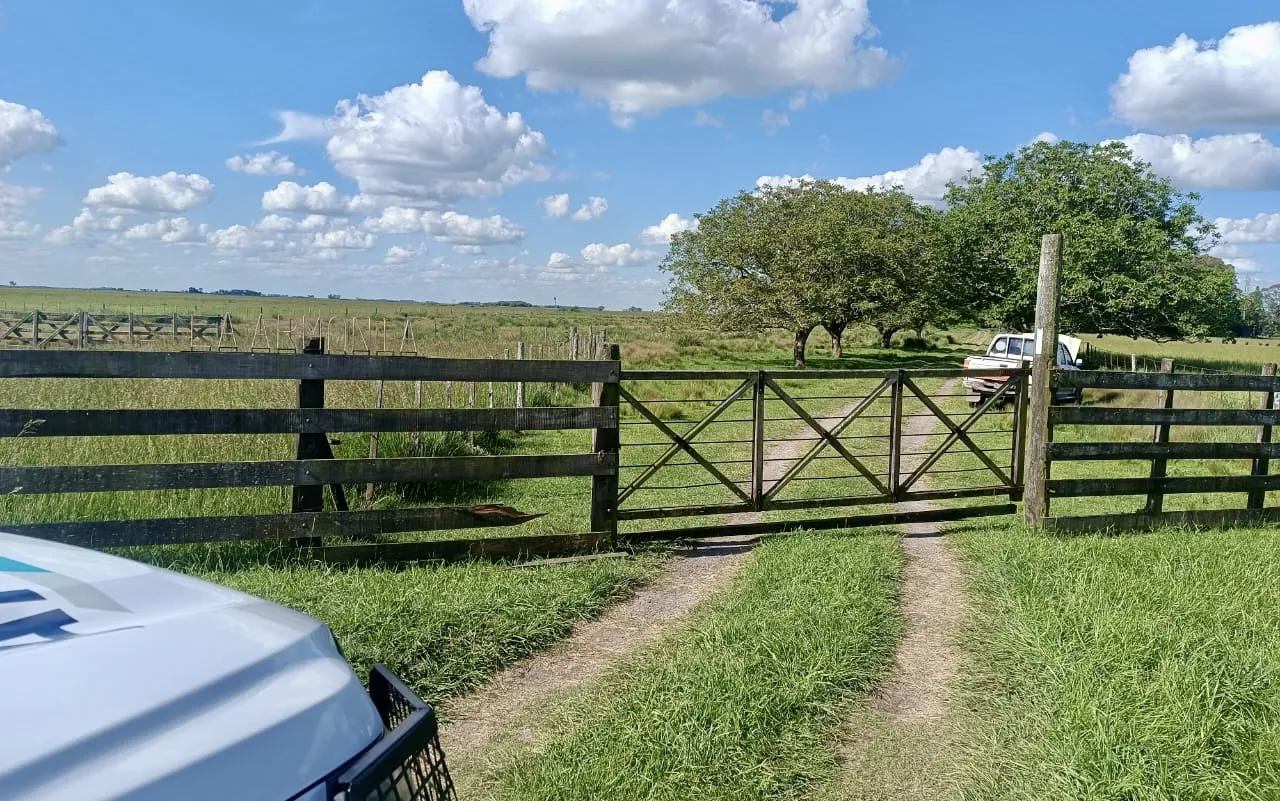 Establecimiento rural