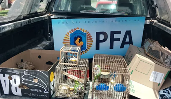 Policía federal Argentina