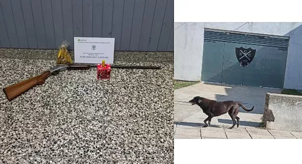 Un hombre mató al perro de su vecina en Cacharí