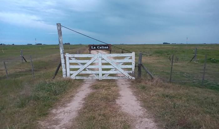 La celina