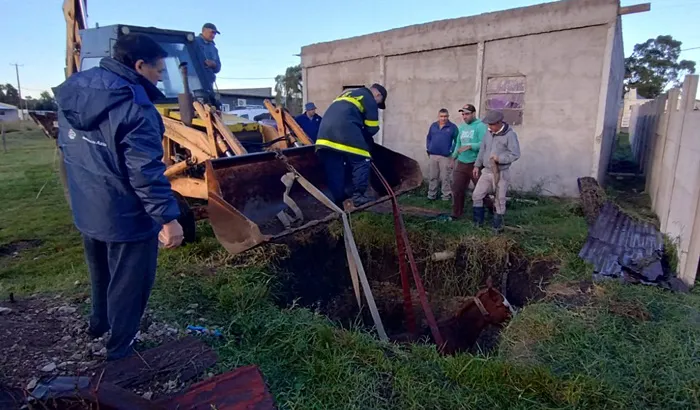 Rescate de un caballo