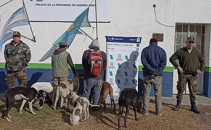 Caza Furtiva