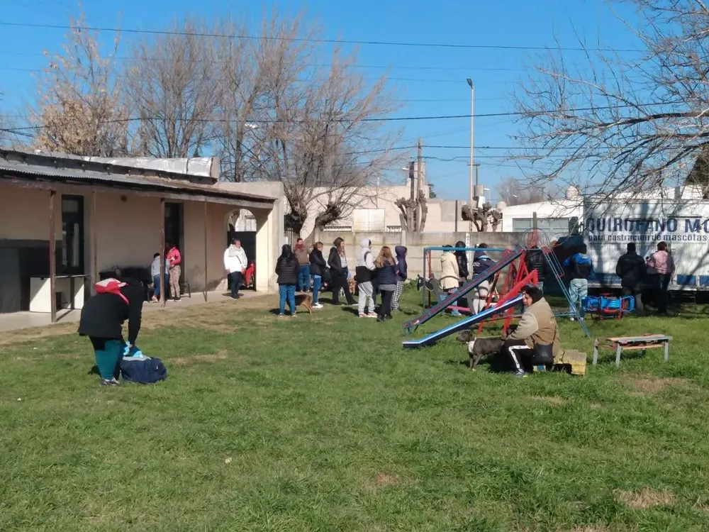 Castración de mascotas 