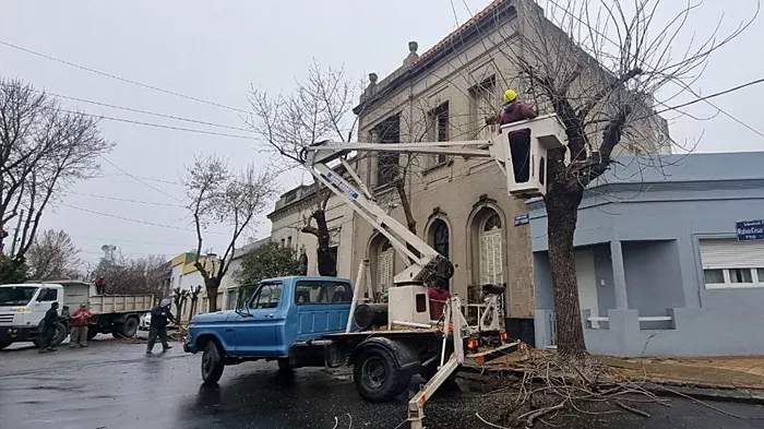 Trabajos de poda