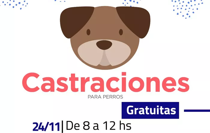 Castración de mascotas