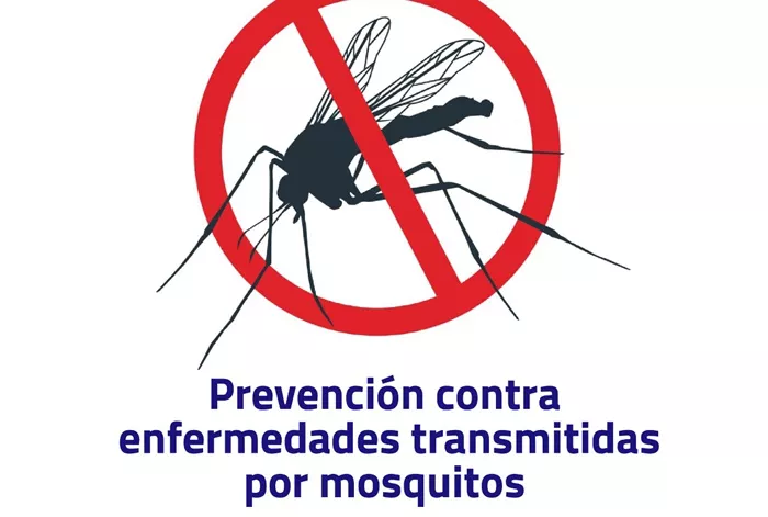 Prevención mosquitos