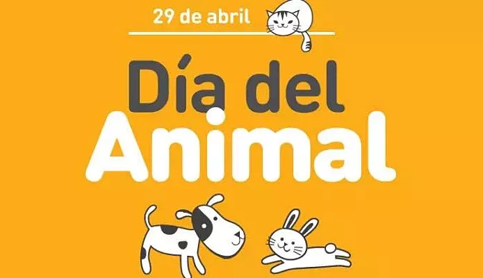 Invitación