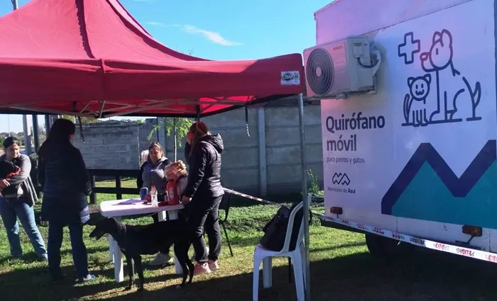 Castración