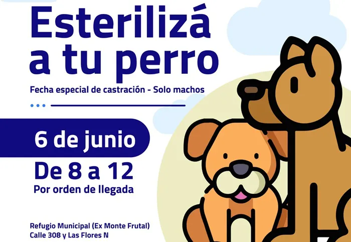 Castración perros