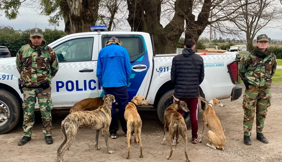 Maltrato animal 