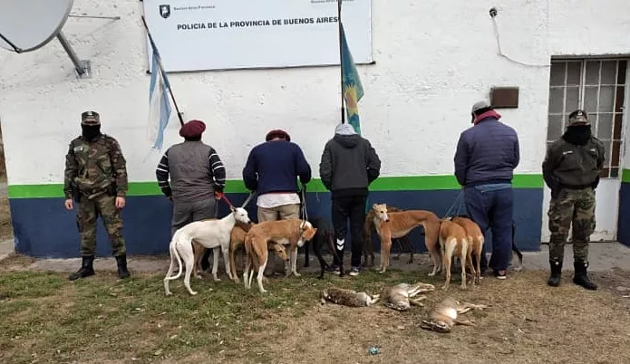 Caza furtiva