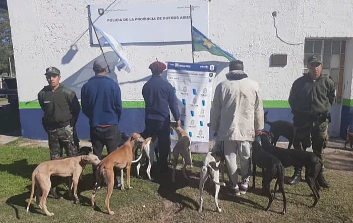 Caza furtiva de especie protegida