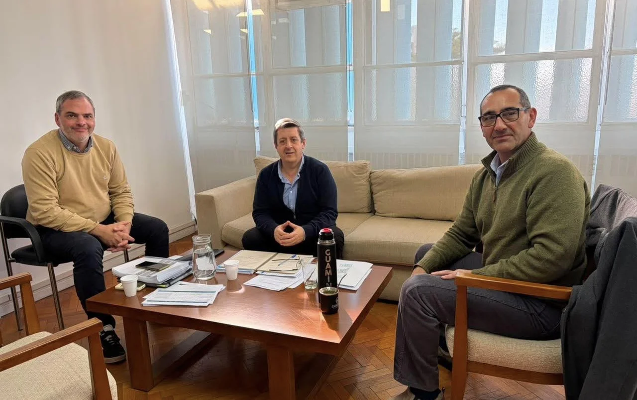 Reunión 