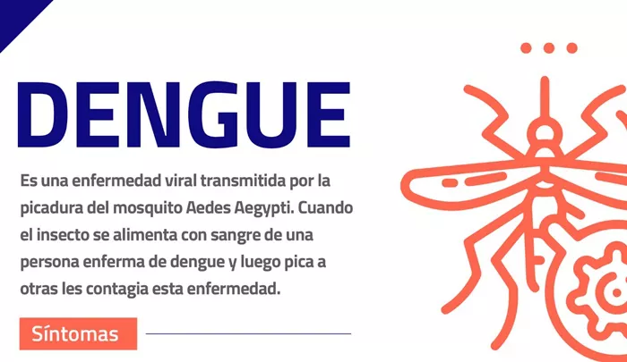 Dengue