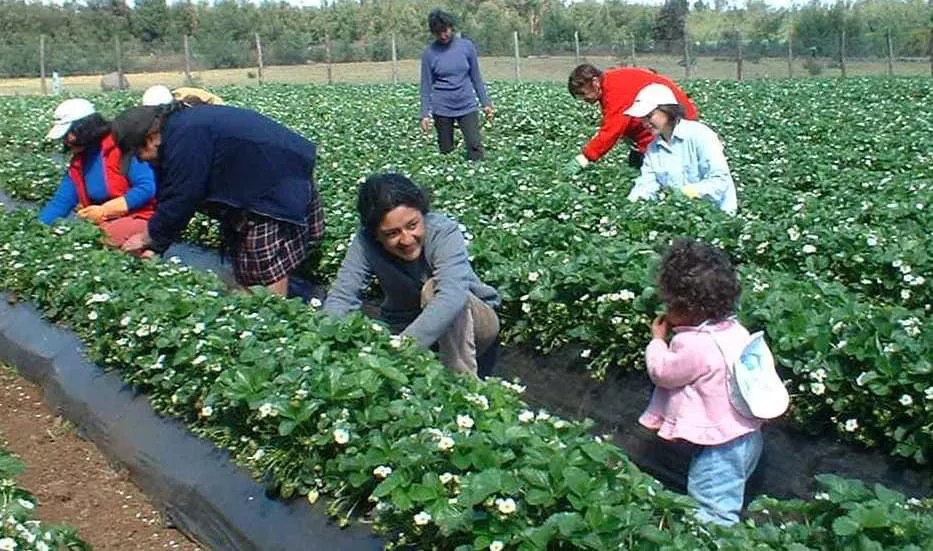 Mujer rural
