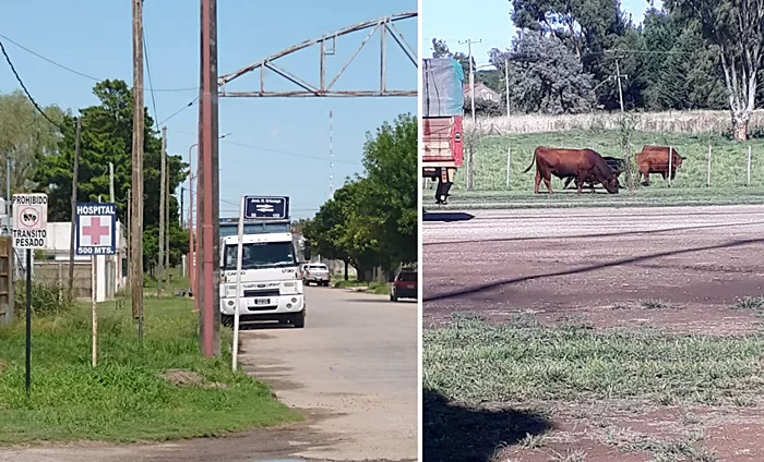 Infracciones en Chillar
