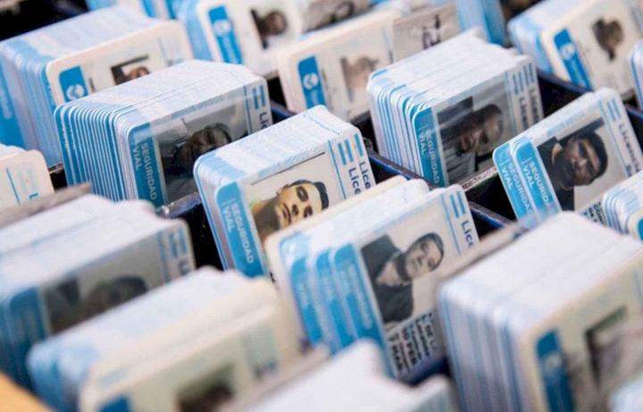 licencia conducir