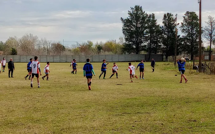 futbol 11 sub 14