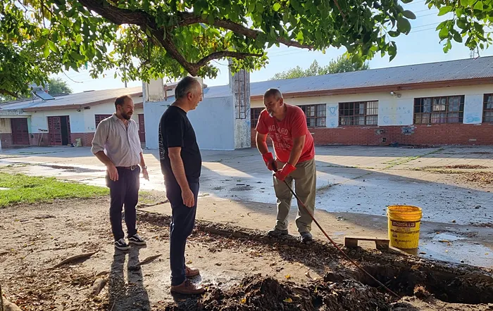 Trabajos en Escuela 66