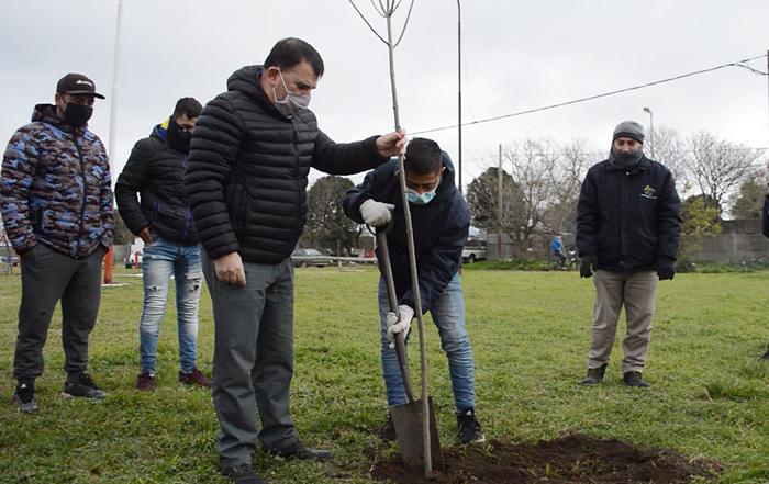 Día del árbol