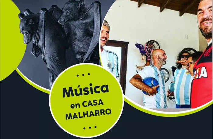turbas historias