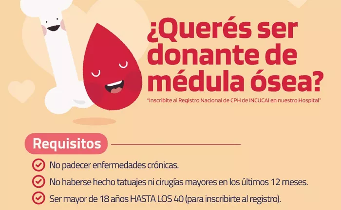 Donante médula ósea
