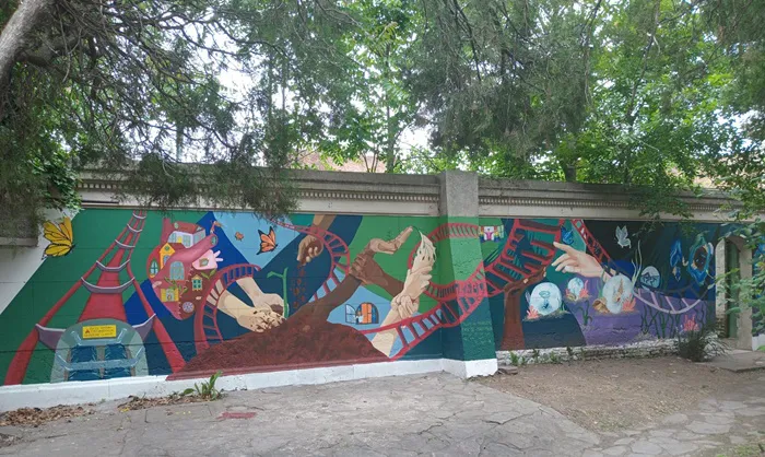 Mural Región Sanitaria IX