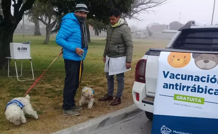 Vacunación antirrábica