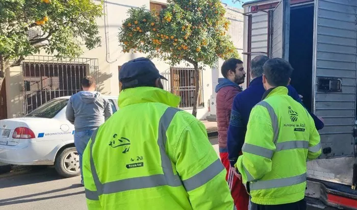 Operativos