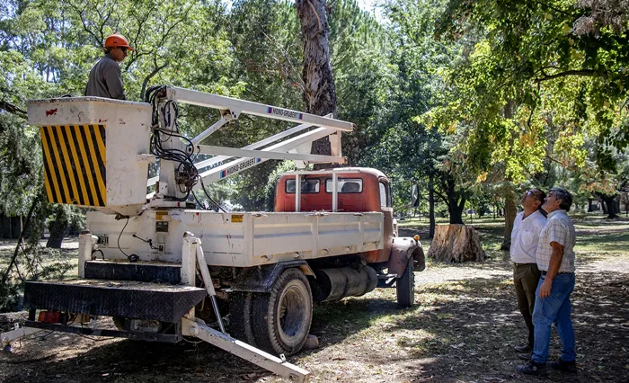 Trabajos en el parque municipal