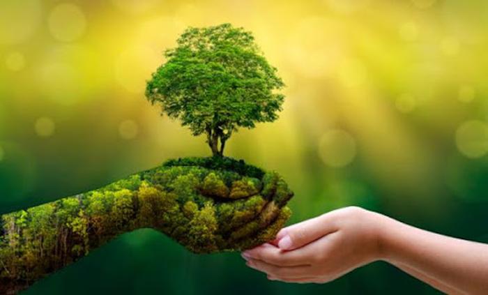 Dia del medio ambiente