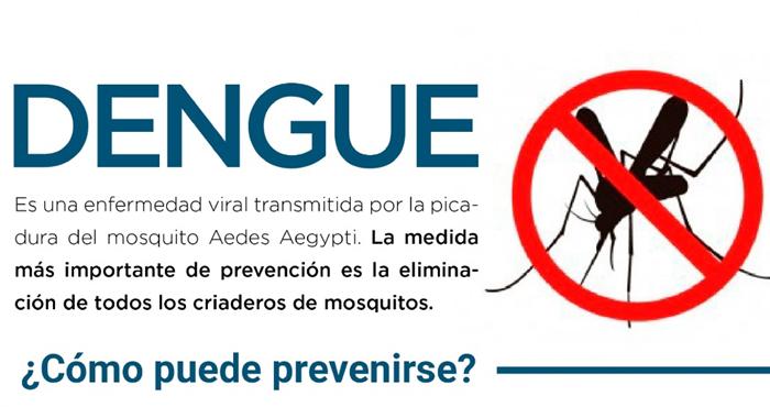 Prevención dengue mosquito