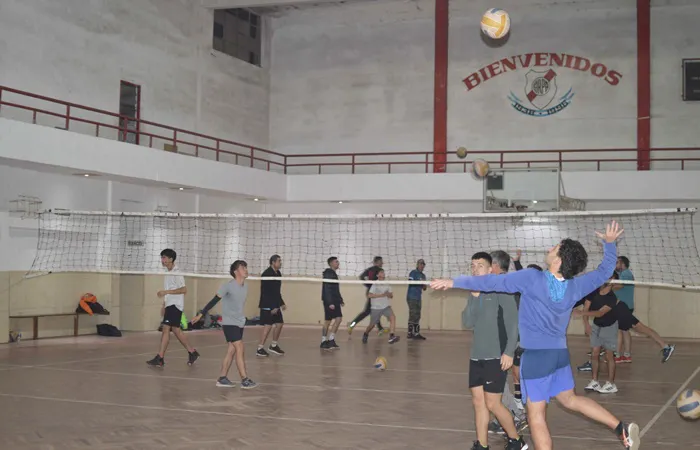 Voley