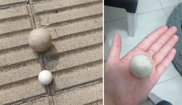 Piedras