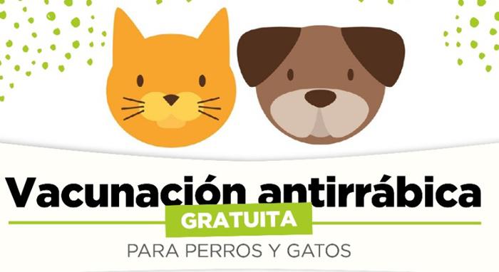 Vacunación