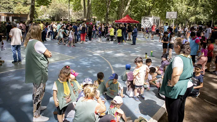 Actividades día de discapacidad