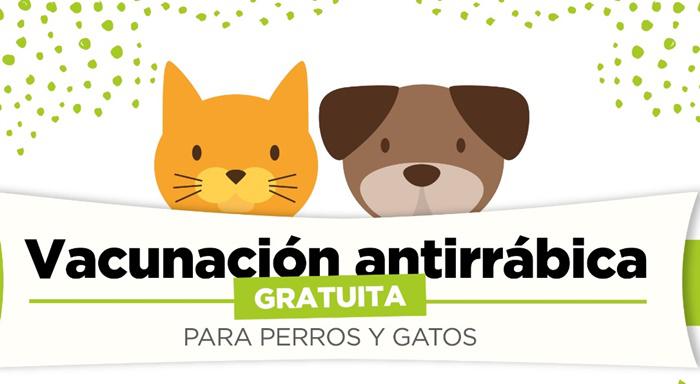 Antirrábica vacunas