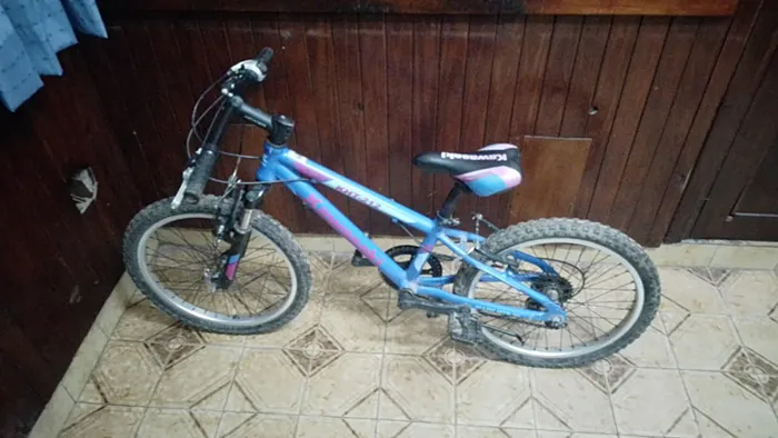 Bicicleta