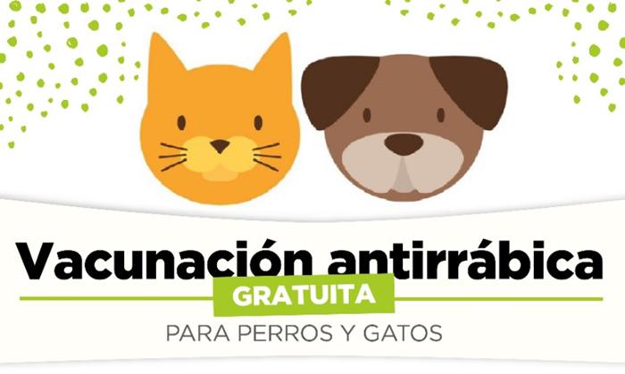 Vacuna antirrábica