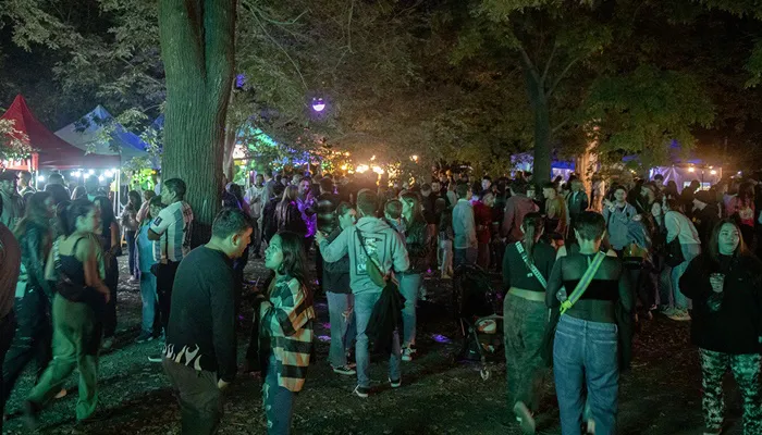 fiesta de San Patricio