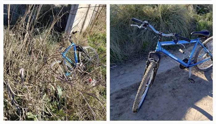 Bicicleta