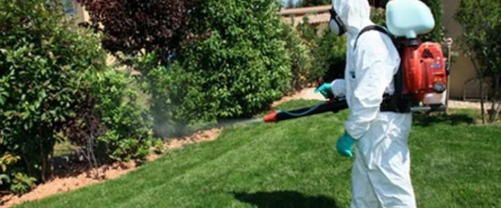 Curso para control de plagas