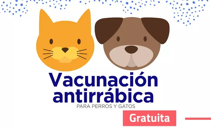 vacunación antirrábica