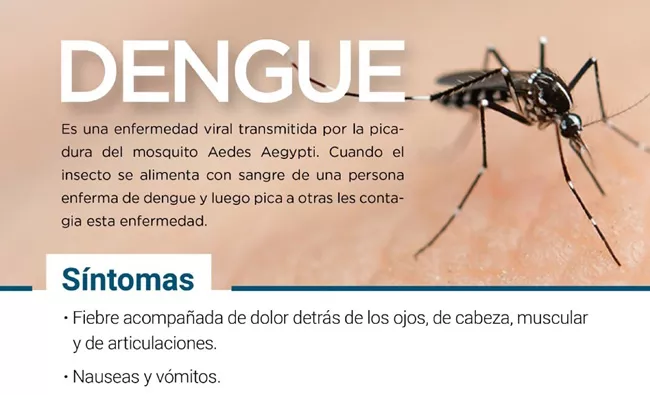 Prevención Dengue
