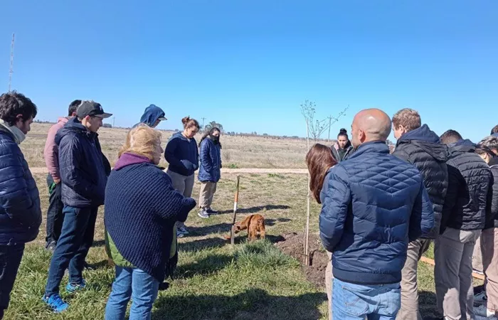 Día del árbol 