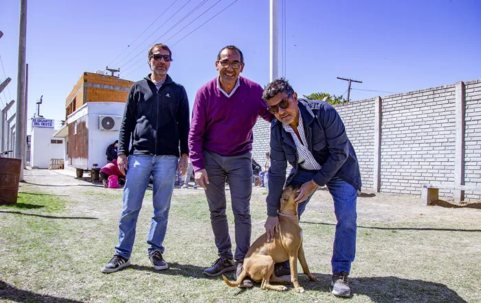 Castración en cancha de San José
