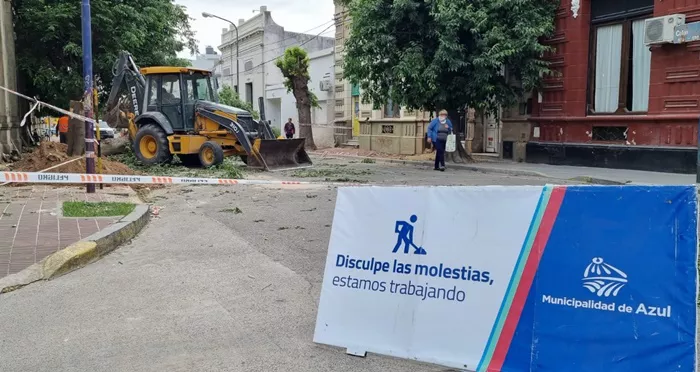 Reemplazo de árboles