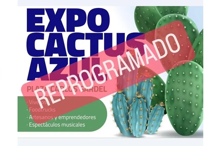Cactus