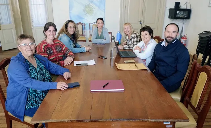 Consejo de Discapacidad