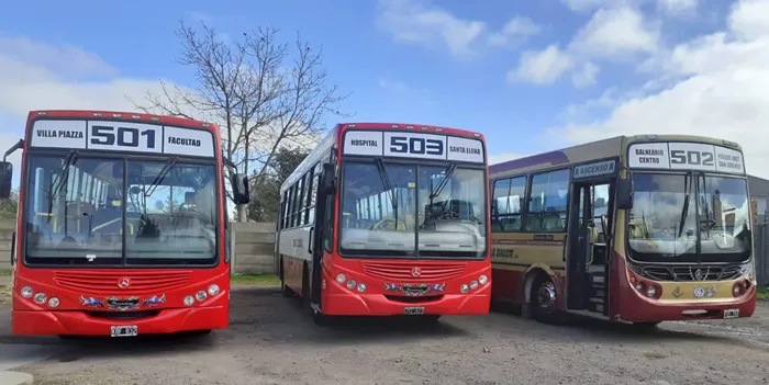 Colectivos